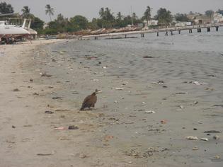 Daka, la baie de Hann défigurée