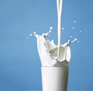 Economie : le lait en poudre importé tue le consommé local.