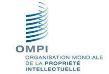 La Propriété Intellectuelle s’invite au FESMAN