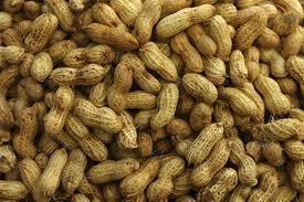 Agriculture: L’Etat supprime la subvention de l’arachide