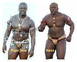 Lutte-Combat: Papa Sow vs Ness en direct sur Pressafrik.com