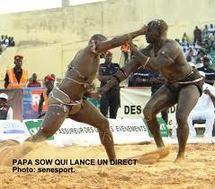 Lutte : Papa Sow promet une victoire beaucoup plus explicite que lors du combat précédent