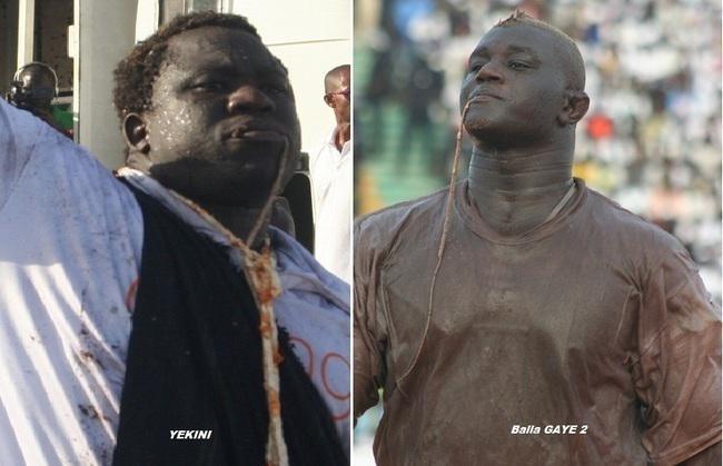 Lutte-Yékini vs Balla Gaye 2: Tout le programme de la journée