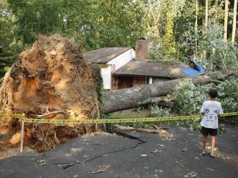L’est des Etats-Unis souffre de la canicule