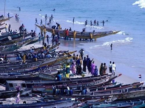 Préservation des ressources halieutiques : Macky Sall propose une trêve de 06 mois