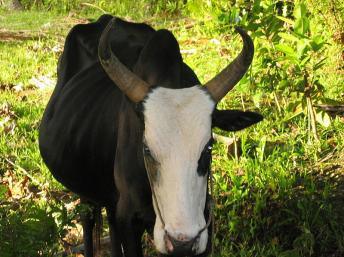Le Bianco met en garde contre l’instauration d’un non-droit généralisé à Madagascar