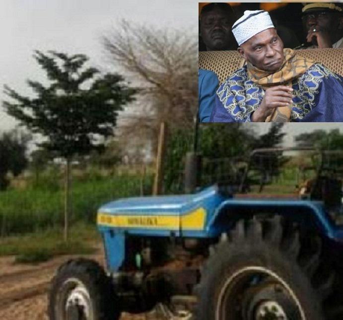 Litige foncier à Kebemer : Wade perd sa ferme