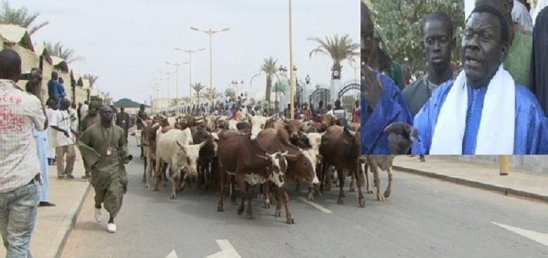 Magal Touba 2013 : Cheikh Béthio demande à ses talibés de le préparer comme il se doit