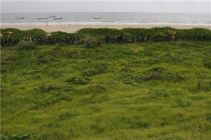 Attaque de Kafountine : SOS Casamance dénonce des actes barbares et de grands banditismes