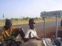 Conseil des ministres décentralisé : Kolda et Tambacounda à l’honneur ce mois d’avril