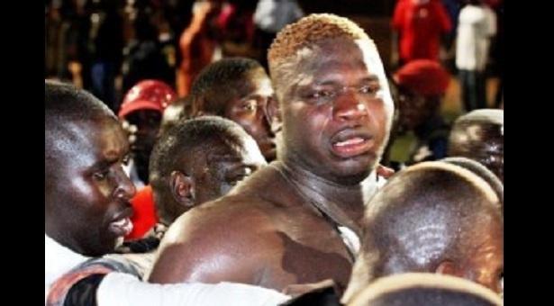 Lutte : Tapha Tine reçoit une tête de chameau couverte d’un linceul rouge !