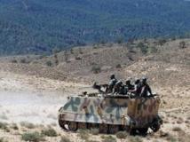L'armée tunisienne a lancé une opération militaire aux abords du mont Chaambi près de la frontière algérienne. AFP PHOTO/ABDERRAZEK KHLIFI