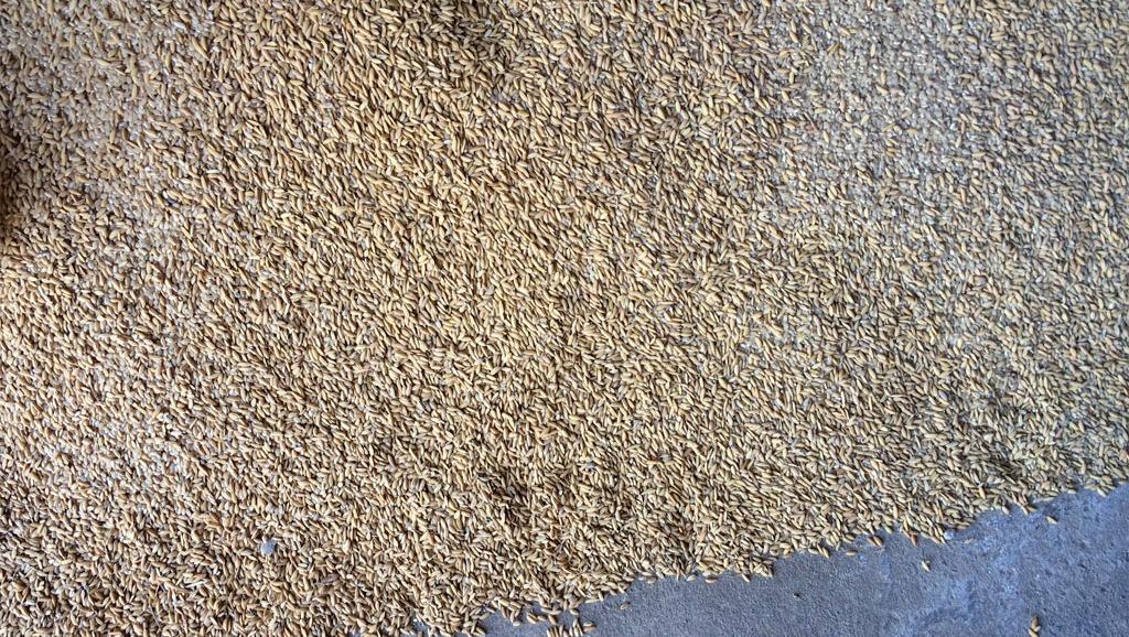 Nigeria: une centaine de sacs de riz impropre à la consommation saisis à Lagos
