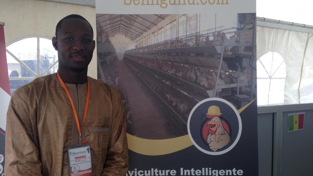 Sénégal: une start-up dynamise le secteur avicole