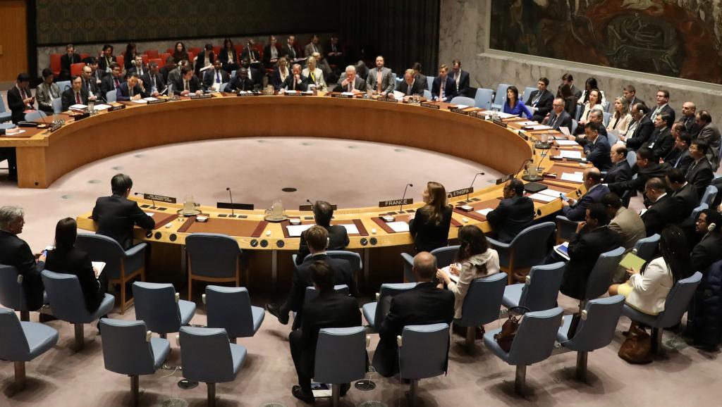 Mort des experts de l’ONU: le Conseil de sécurité met la pression sur la RDC