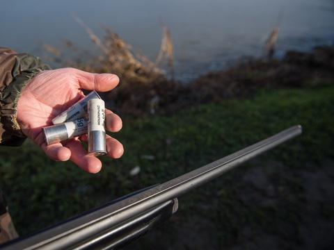Oise : Un chasseur décède après avoir été chargé par un cerf dans la forêt de Compiègne