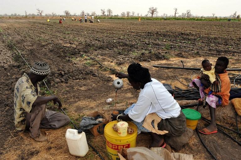 Les populations de Matam harcelées par la famine crient leur colère : "Macky est en train de nous regarder mourir alors qu'il..."