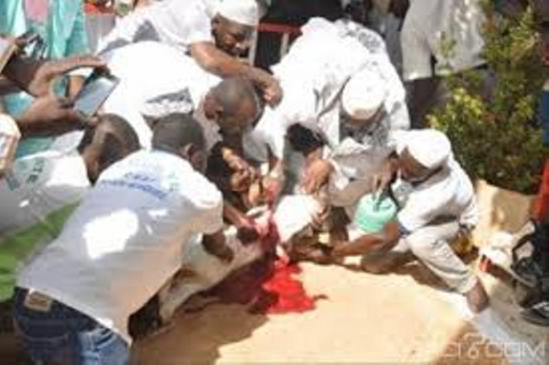 Les 21, 22 ou 23 août, trois dates pour la fête de Tabaski au Sénégal