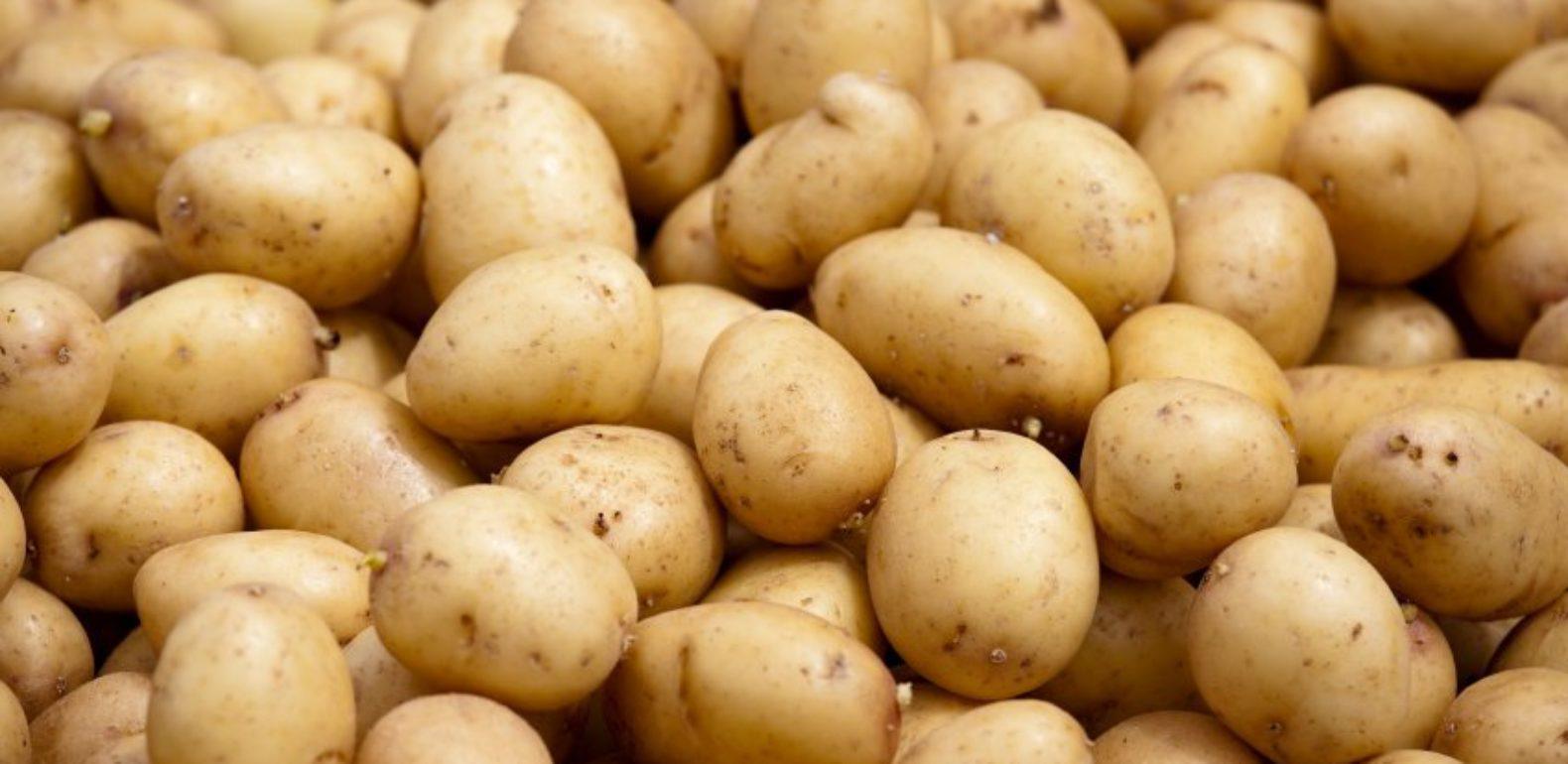Rareté de la pomme de terre: les commerçants lancent un SOS