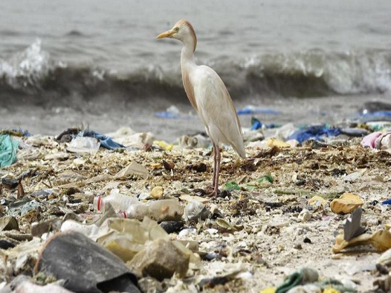 World CleanUp Day: vaste action citoyenne pour nettoyer la planète en un jour