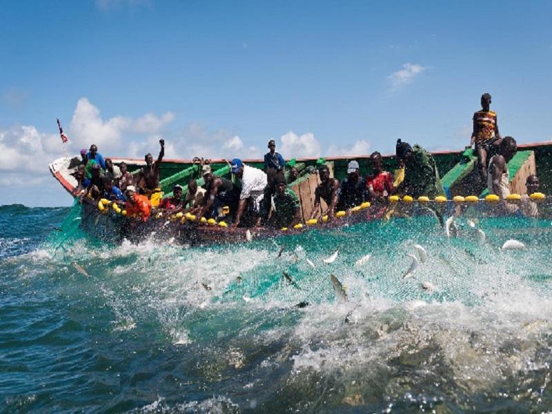 Pêche en Mauritanie : Les Guet-ndariens devront patienter jusqu’en 2019