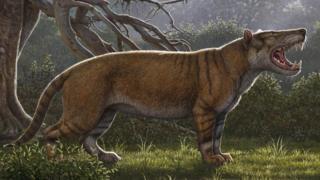Le fossile d’un lion géant retrouvé au Kenya