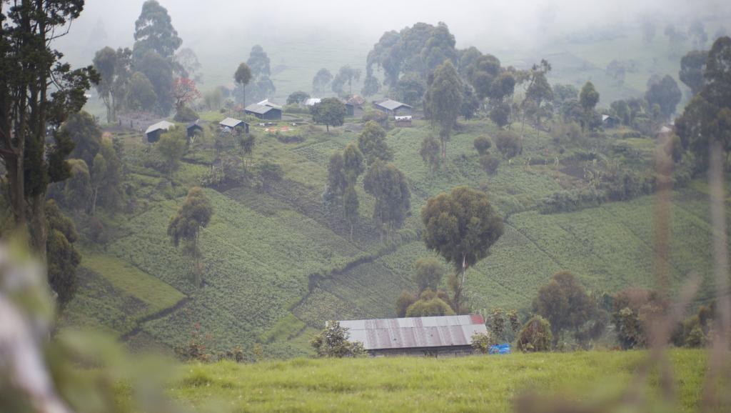 RDC: dans le Masisi, insécurité et déplacements de population riment avec viols