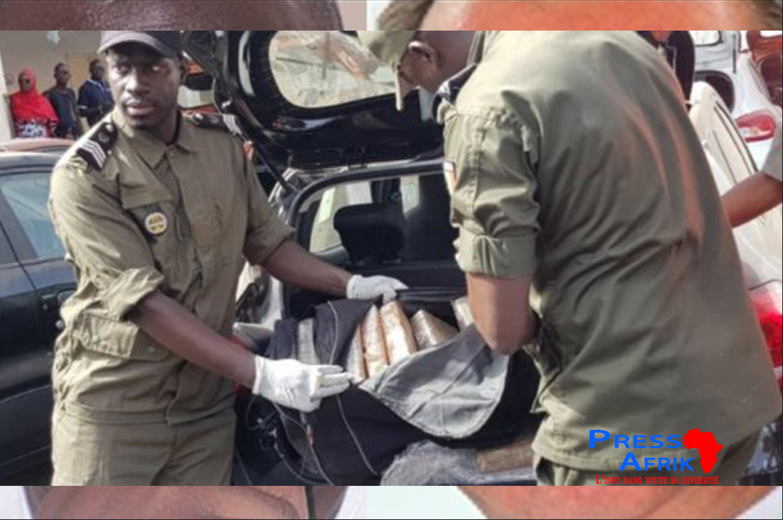 Drogue saisie au Port: la Douane sénégalaise réclame 243,21 milliards à Grimaldi et Dakar Terminal