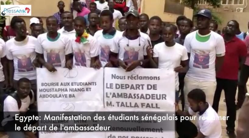 Manifestation des étudiants sénégalais en Égypte: La Direction des bourses sort du silence