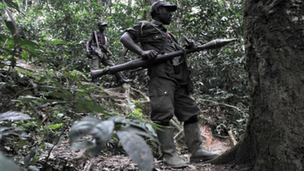 RDC: nombreuses interrogations autour de la mort du chef des FDLR