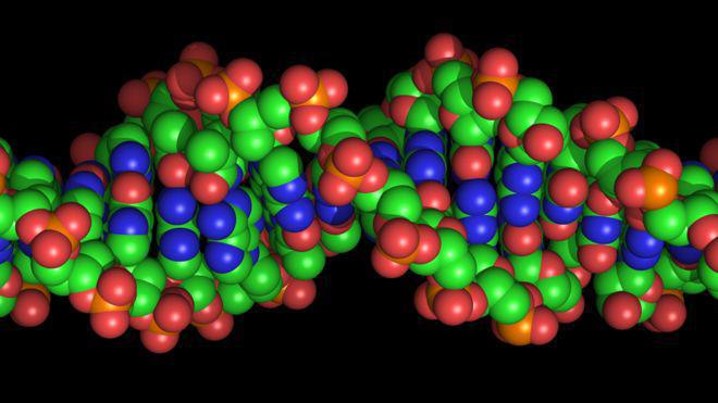 Décoder l'ADN africain pourrait aider à lutter contre les maladies