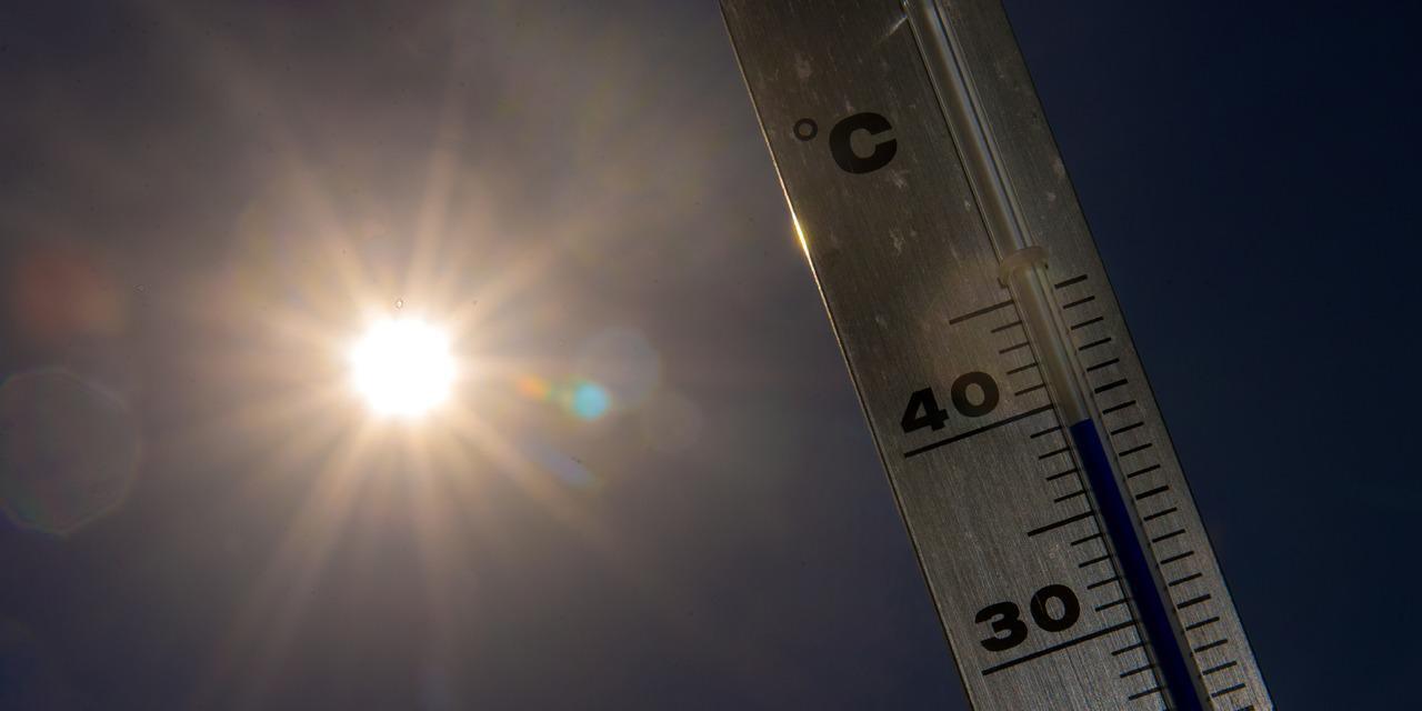 Noël 2019: Chaud soleil, fraîcheur nocturne et matinale