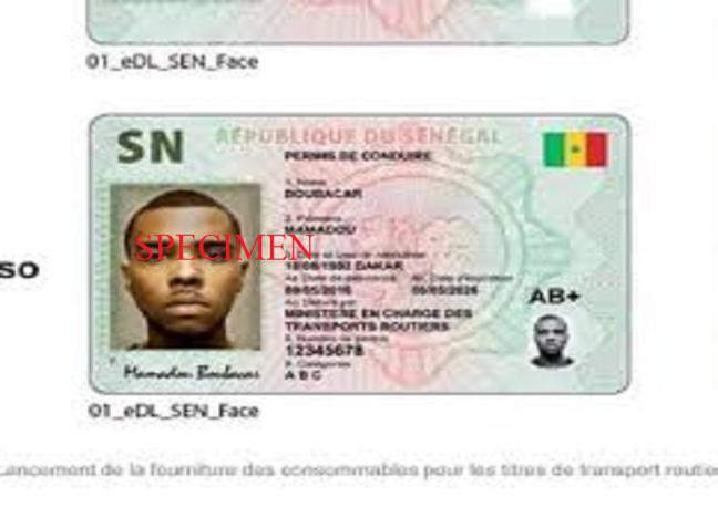 Fin de validité des anciens permis de conduire ce 31 décembre 2019 à minuit