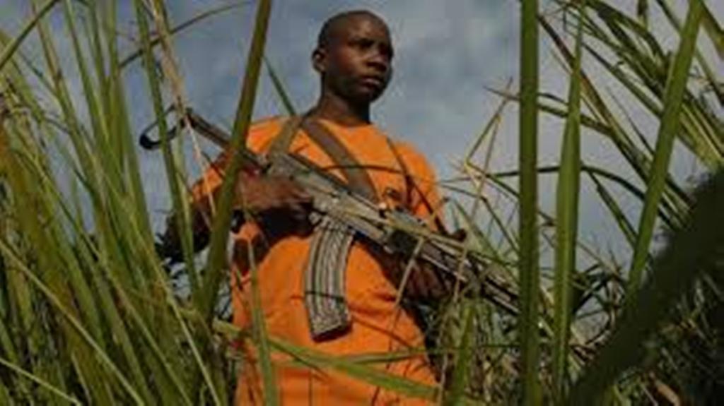 RDC: où en est-on du désarmement du groupe armé FRPI deux mois après l’accord de paix?