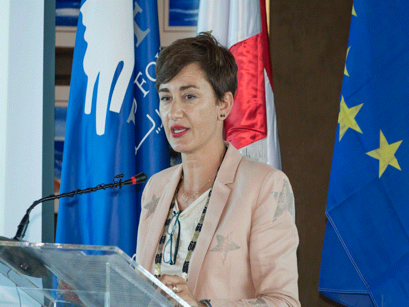 Utilisation de l’artemisia contre le Covid-19: l’UE donne sa position