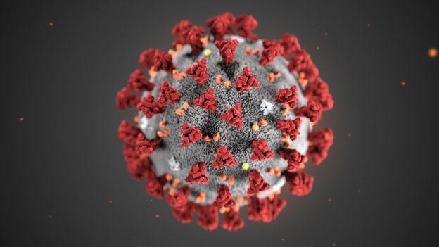 Coronavirus: des experts cubains annoncent des avancées notoire à propos d'un traitement sur lequel ils ont discuté avec le Sénégal
