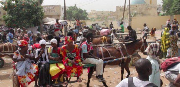 Magal 2020: 40.000 charretiers attendus à Touba