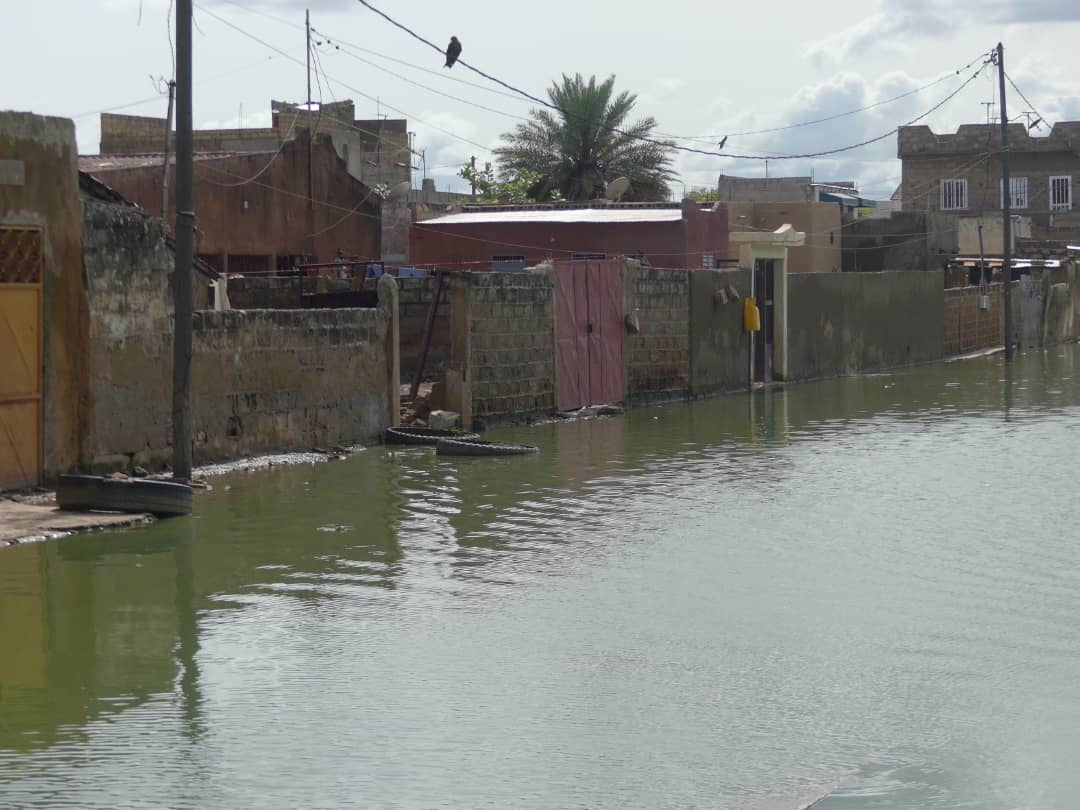 Le Collectif des cadres de Kolda exige de l’Etat la prise en compte de cette région dans le Plan Orsec
