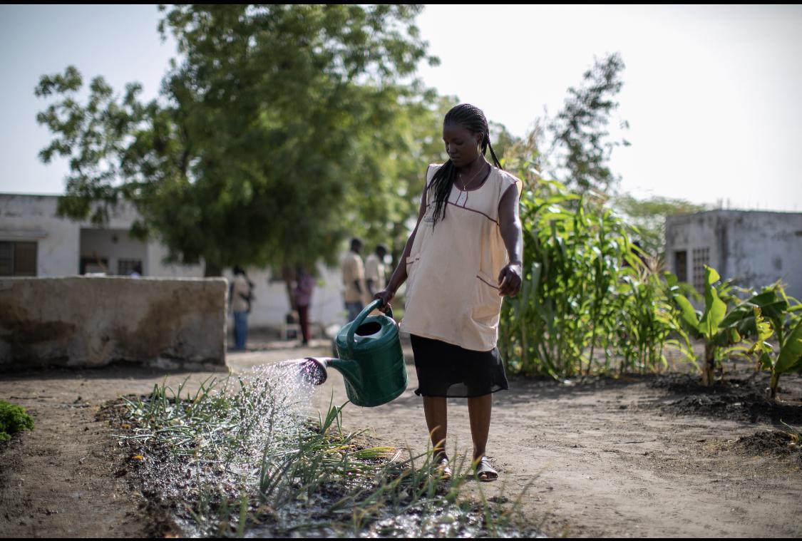 ​La Mastercard Foundation et MEDA s’associent pour renforcer la résilience des agro-entreprises au Sénégal (Publireportage)