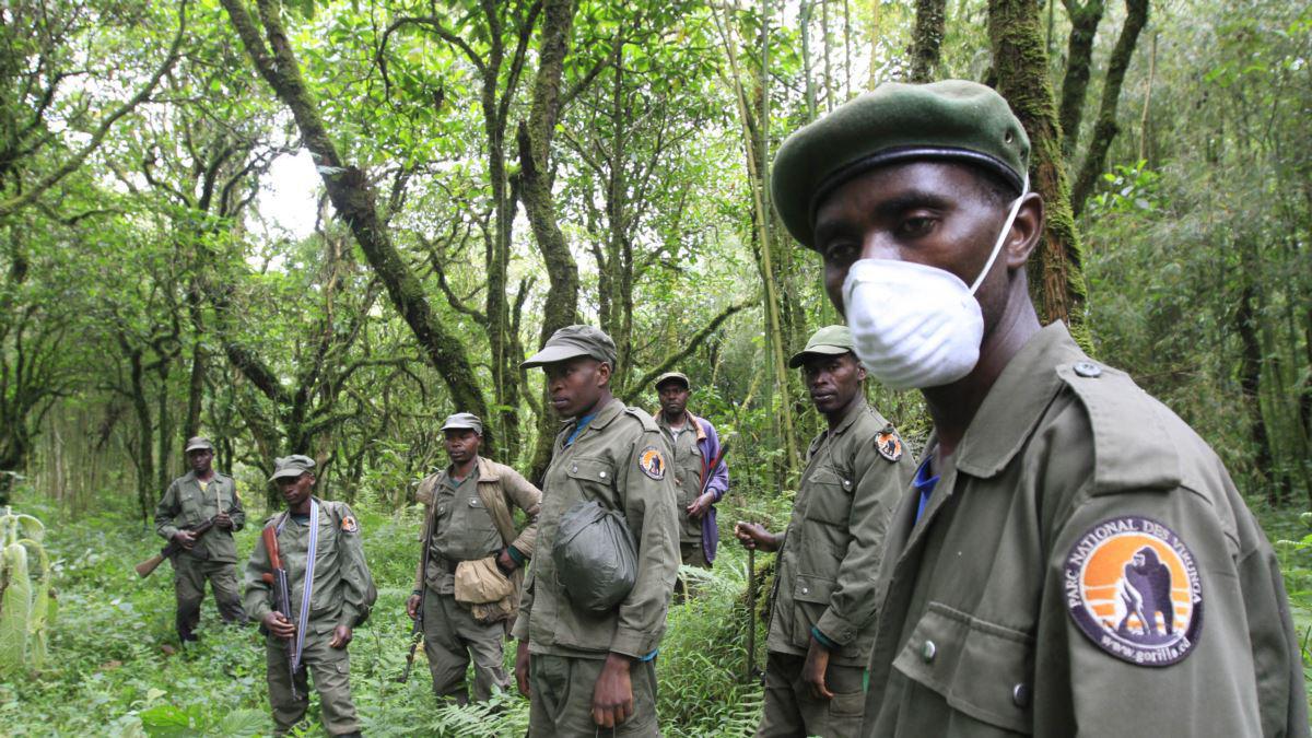 RDC: au moins six gardes-parc tués dans une attaque dans le parc des Virunga