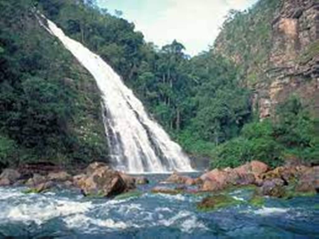 Bolivie: deux laboratoires de fabrication de cocaïne découverts dans un parc naturel
