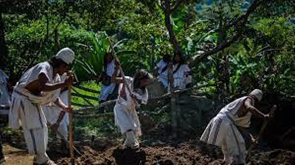 Colombie: chez les Arhuacos, un peuple indigène dans le besoin