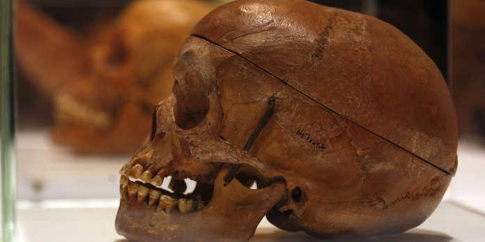 L'Allemagne reconnaît avoir commis un «génocide» en Namibie pendant la colonisation