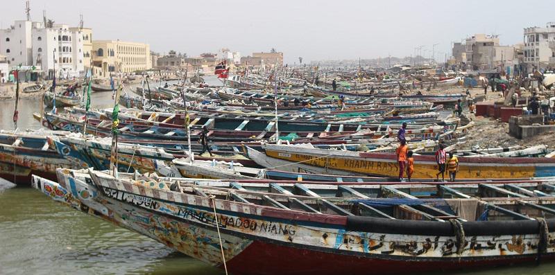 Greenpeace Africa: "La société gazière BP et ses partenaires prêts à détruire un écosystème unique et déstabiliser le climat"