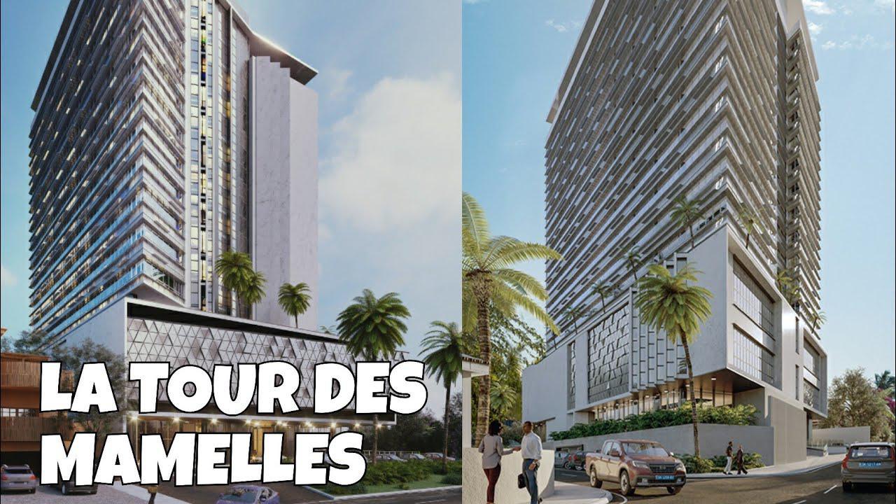 La Tour des Mamelles sera livrée dans un an environ, selon le DG de la CDC