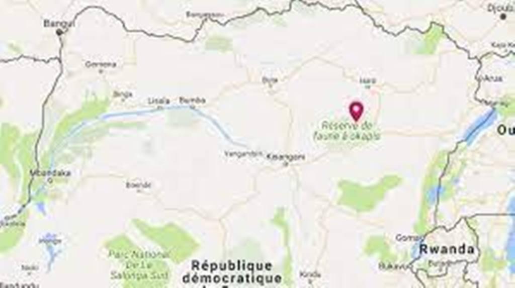 RDC: appel des ONGs à la protection de la réserve de faune à Okapis