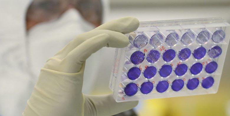 La Gambie déclare une «urgence de santé publique» après la découverte de deux cas de poliovirus