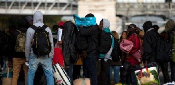 Maroc: 81 Sénégalais dont 3 enfants et une femme enceinte bloqués à Dakhla depuis un mois