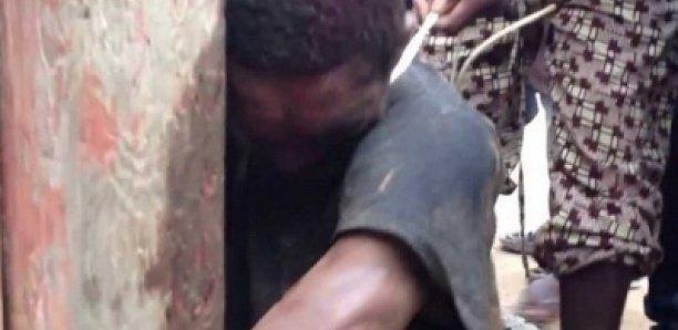 Surpris avec des moutons d'un marabout: deux voleurs lynchés à Touba