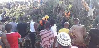 Mbour : l'effondrement d'un baobab tue deux adolescents